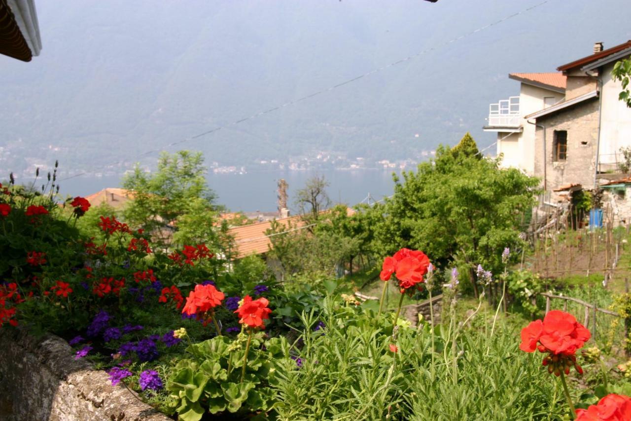 Il Mulino Di Hotel Villa Aurora 네소 외부 사진